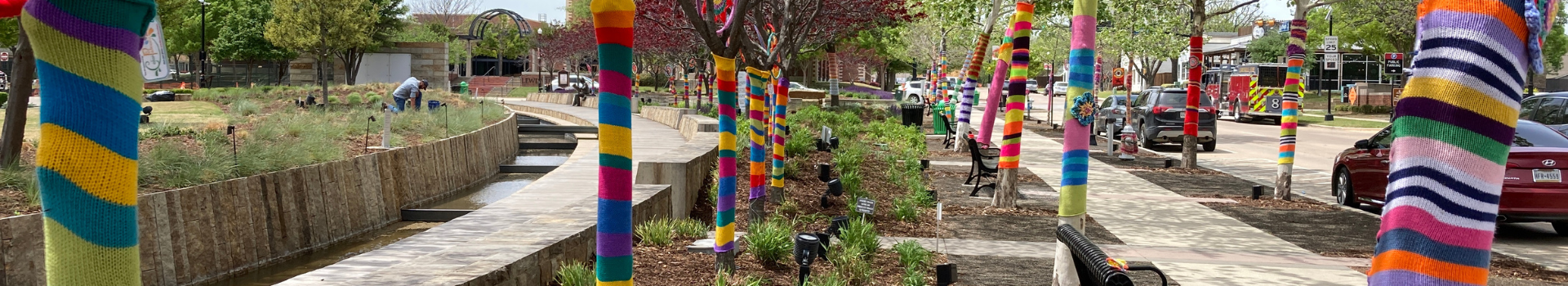 Wayne Ferguson Plaza trees covered in yarn sweaters